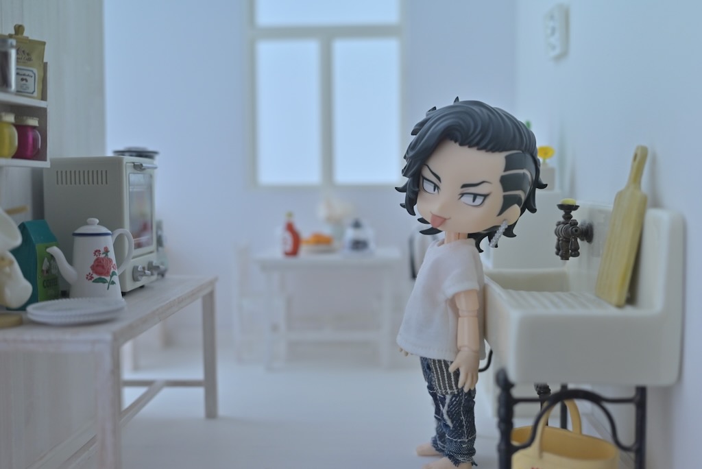 ねんどろいどどーる – maison de mimi